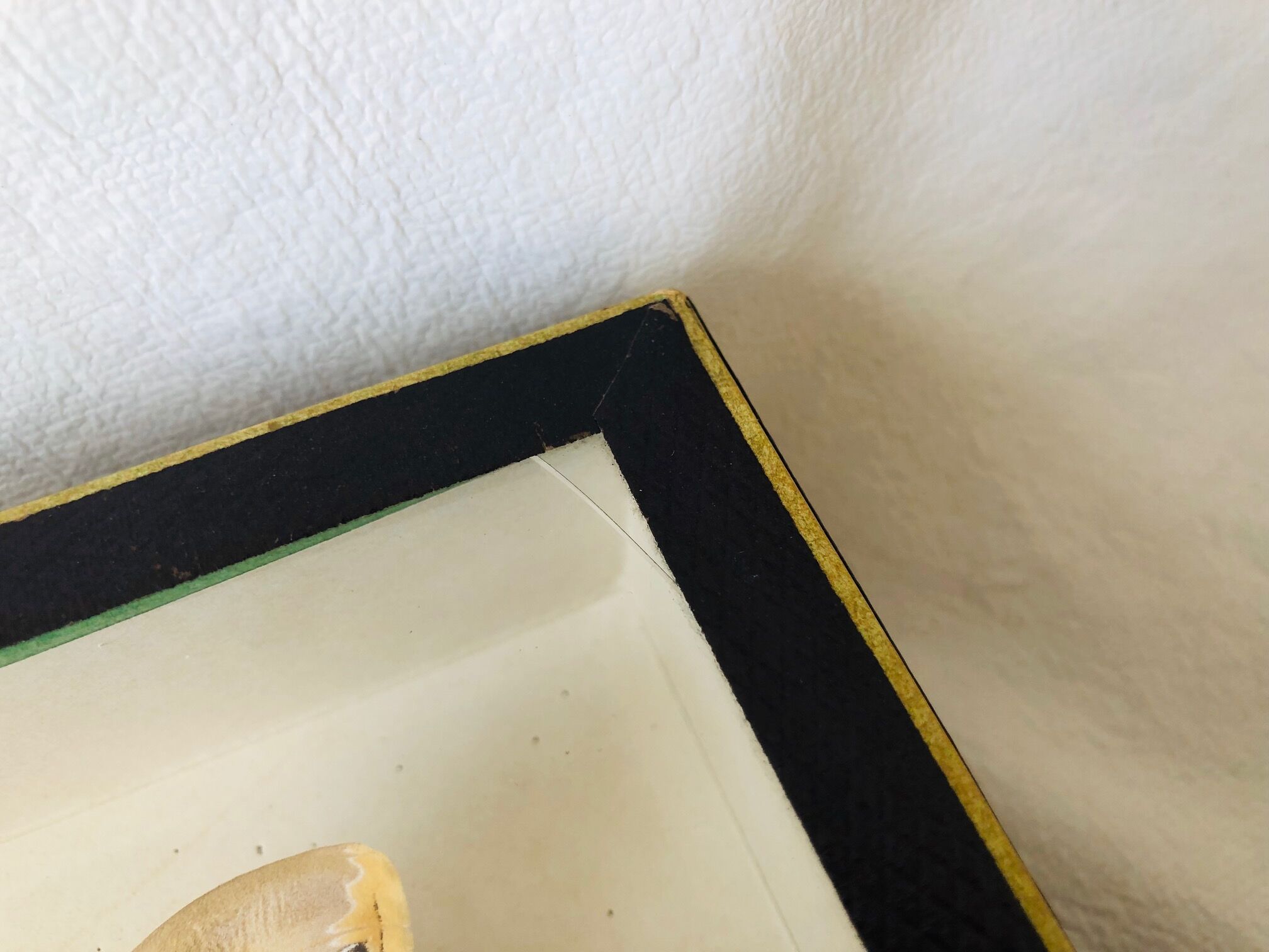 Naturalized butterfly frame