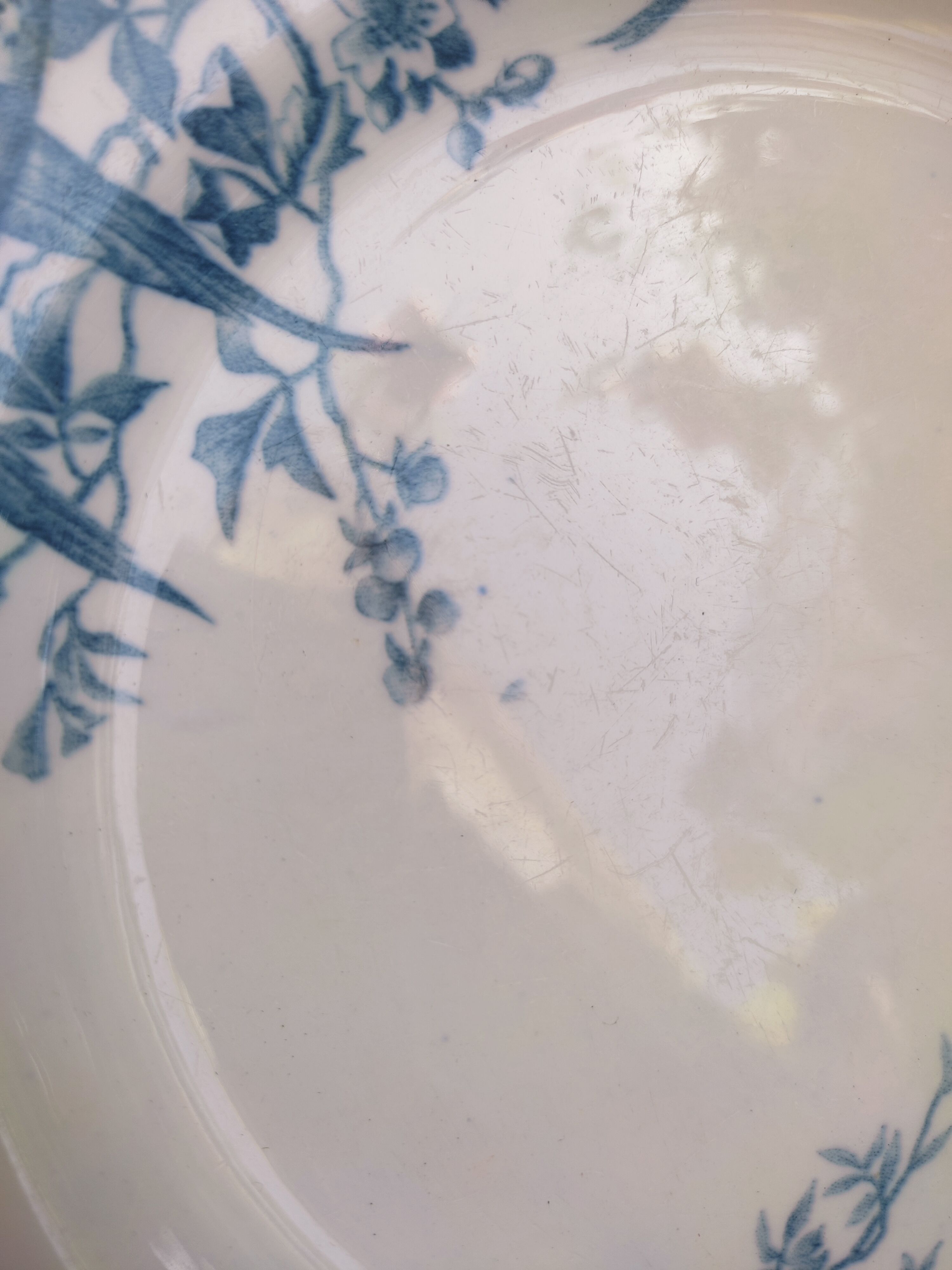 7 plates in earthenware with bird motifs by Lunéville