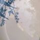 7 plates in earthenware with bird motifs by Lunéville