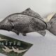 Porte courrier poisson Italie vintage