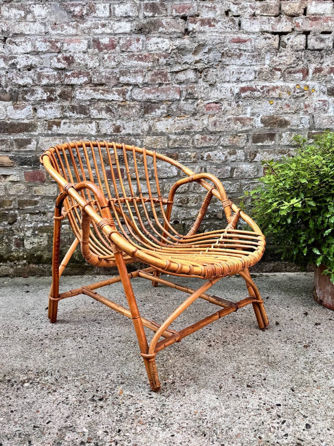 Vintage rattan shell armchair