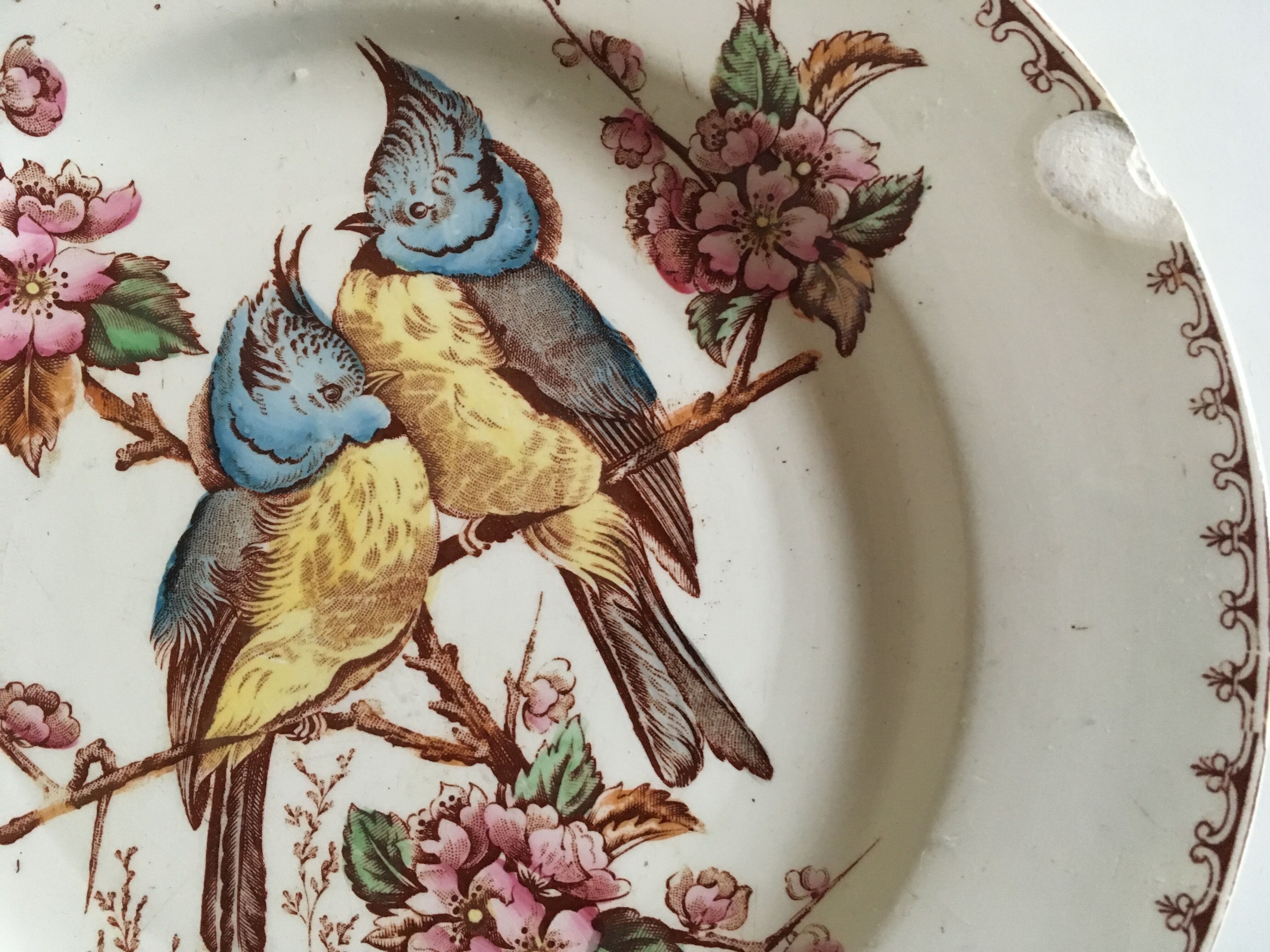 Pair of bird plates in iron earth Lunéville chickadee