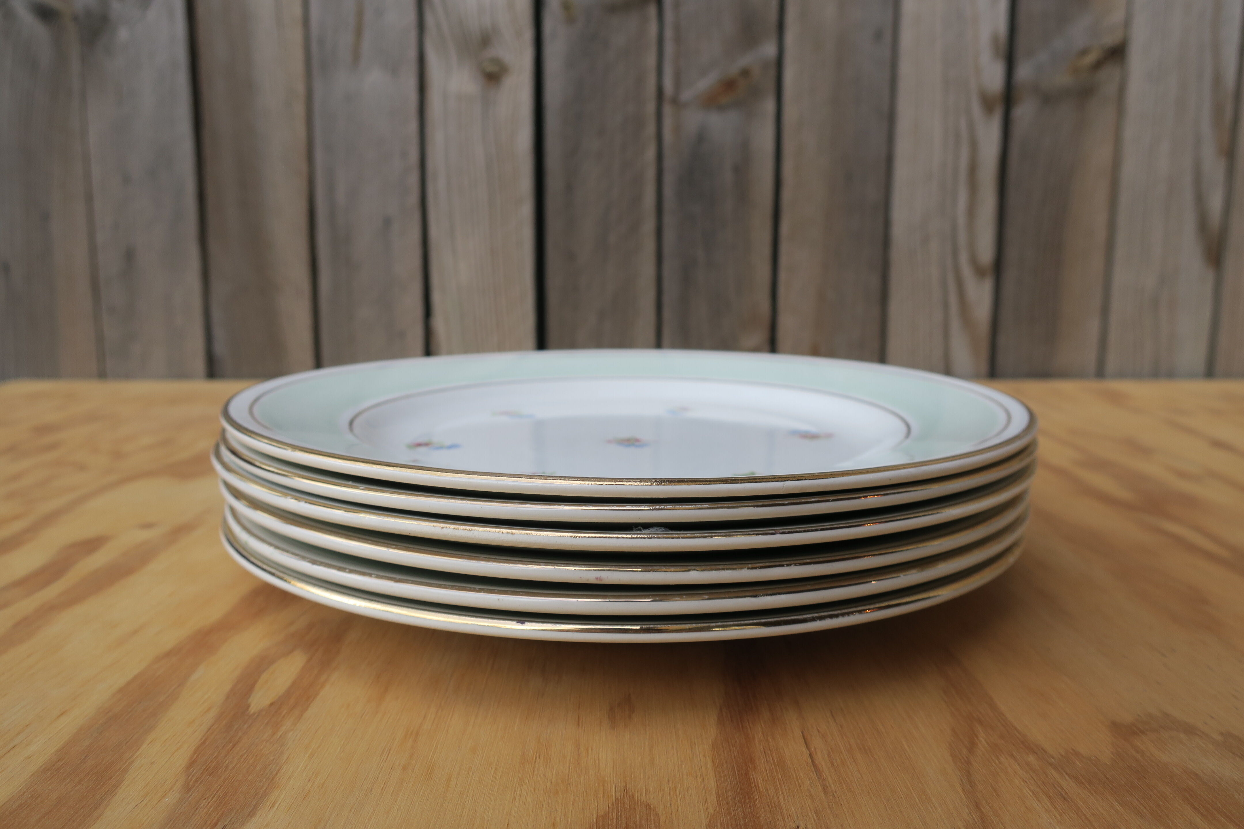 6 plates old flowery flats edge mint