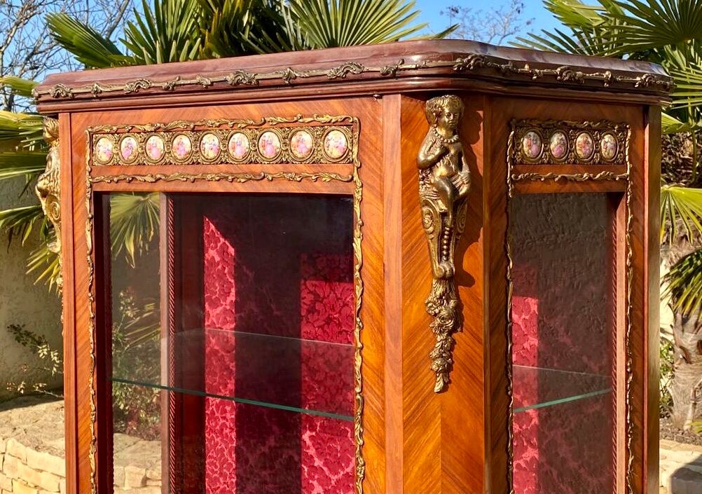 Showcase Marquetry and Bronze Style Louis XVI