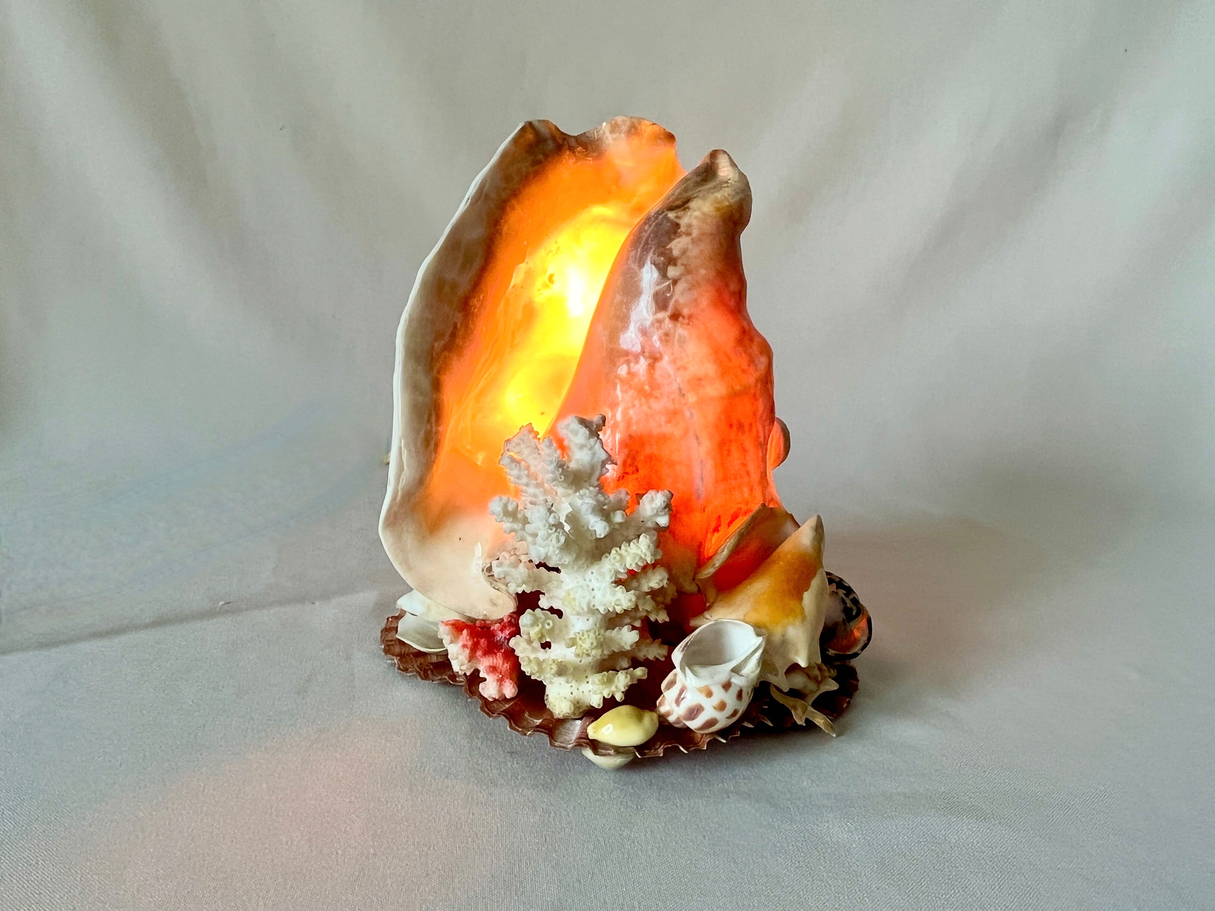 Lamp night light shell conch 1950 cabinet of curiosities seaside