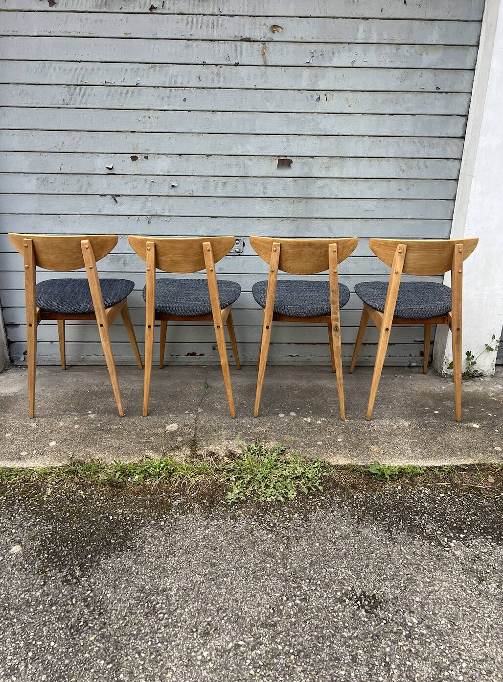 (Lot) 4 Baumann Fontania chairs 1960 (Fully restored)