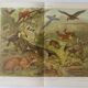 Gravure ancienne - Animaux d'Amérique du sud - Chromo-Lithographie de 1909