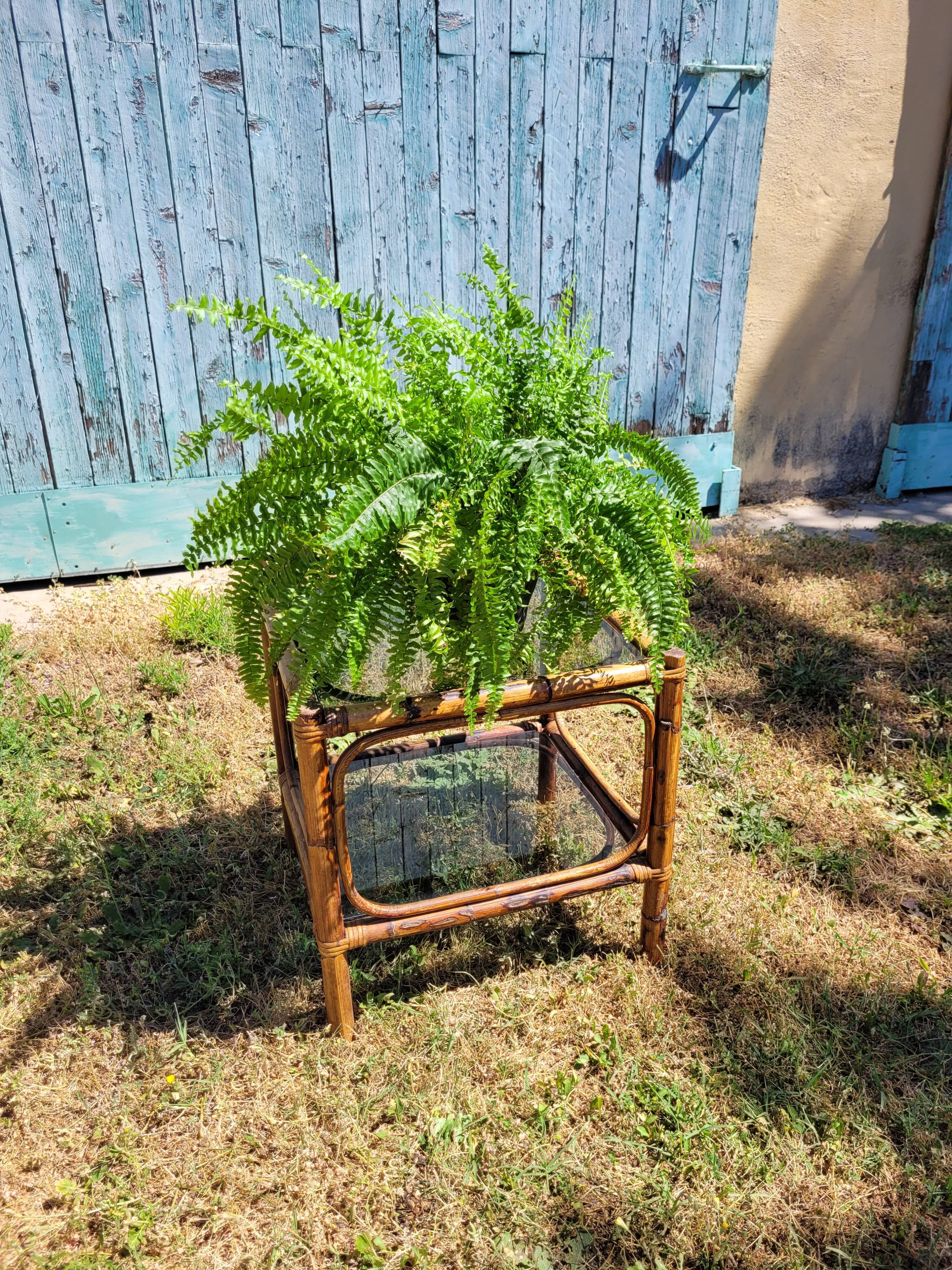 Rattan coffee table and smoked glass