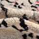 Large modern berber beni ouarain wool rug