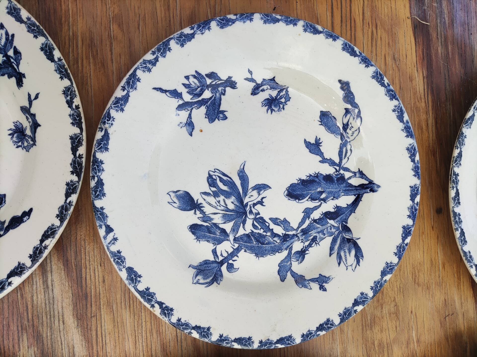 6 flat plates made of Gien earthenware - ironstone - cactus model