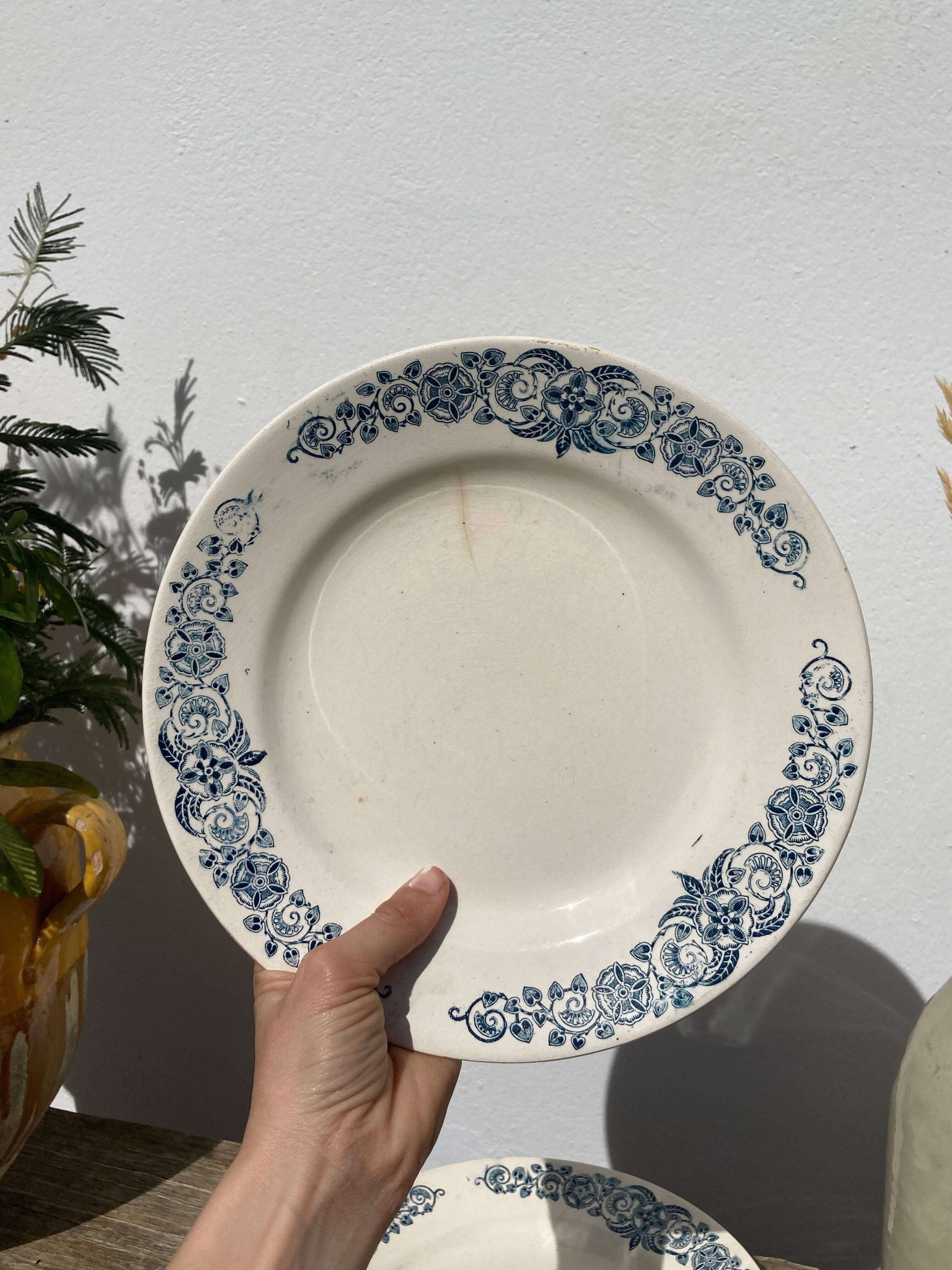 Set of 8 flat plates iron earth model Longchamp Alésia