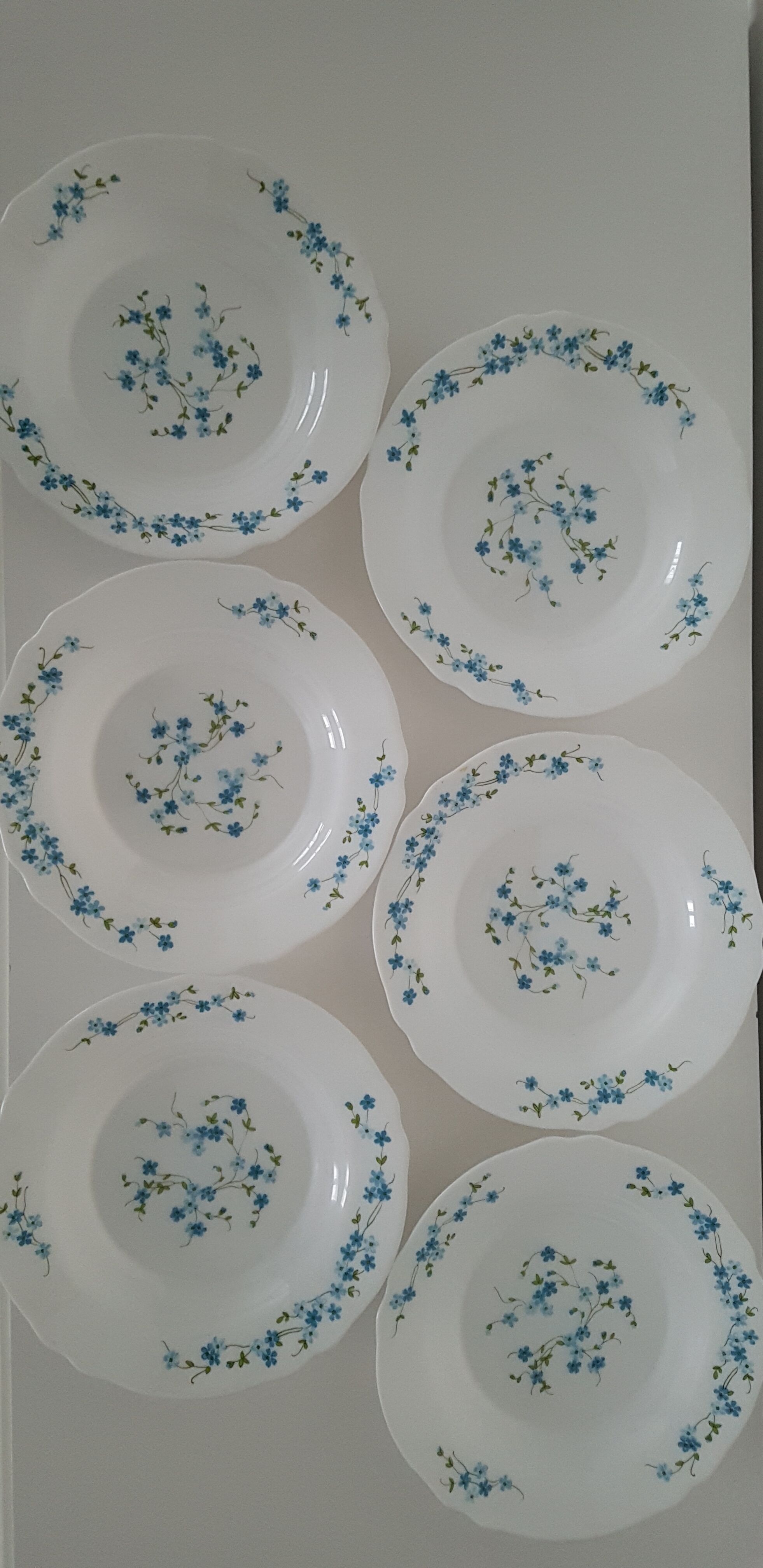 Full service 24 pieces Arcopal Myosotis Veronica