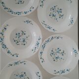 Full service 24 pieces Arcopal Myosotis Veronica