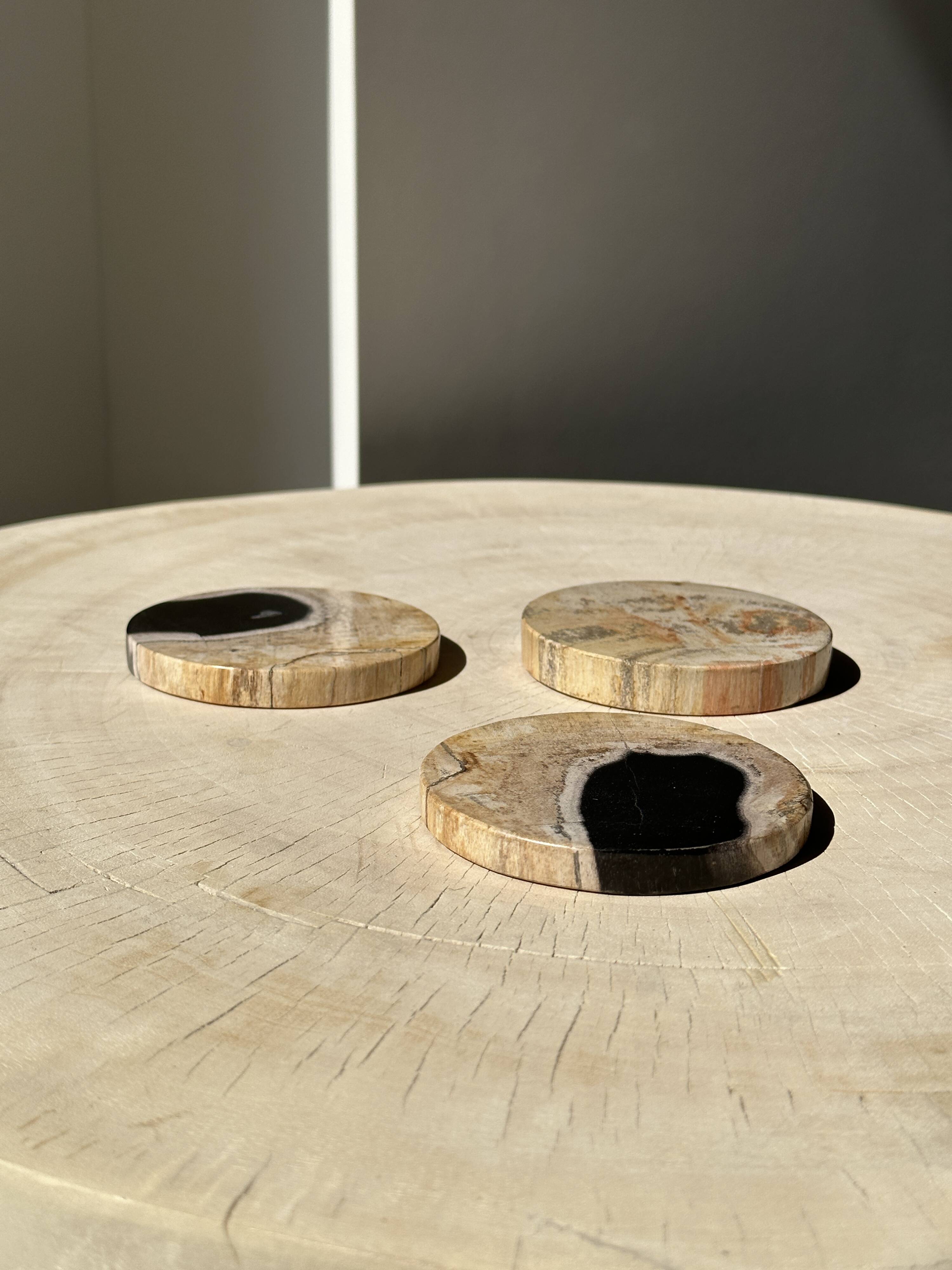 Set of 3 fossilized wood coasters (clear)