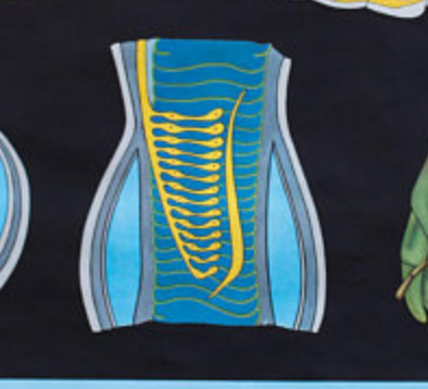 Poster wall of the Jung Koch Quentell school "grasshopper" 1971