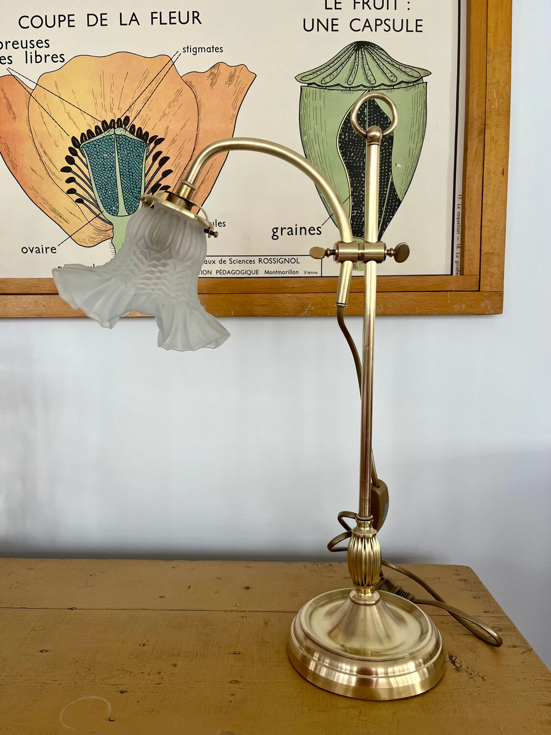1900 adjustable swan neck lamp
