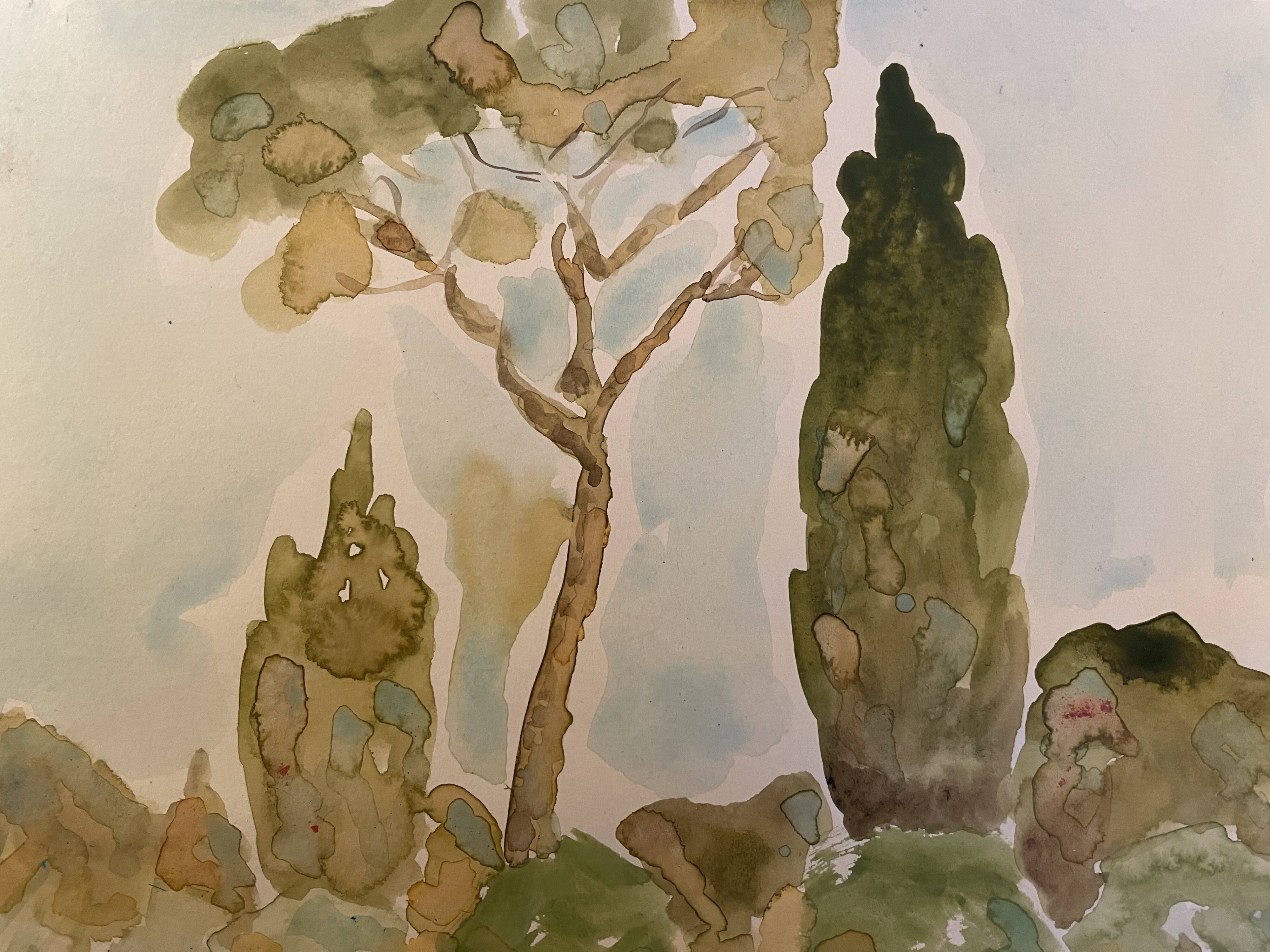 Signed watercolor painting “olive tree field in Provence”