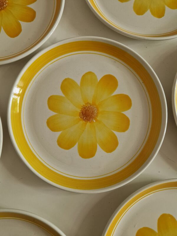 Lot de 10 assiettes plates sarreguemines modèle roseline
