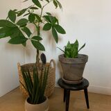 Vintage tripod plant holder