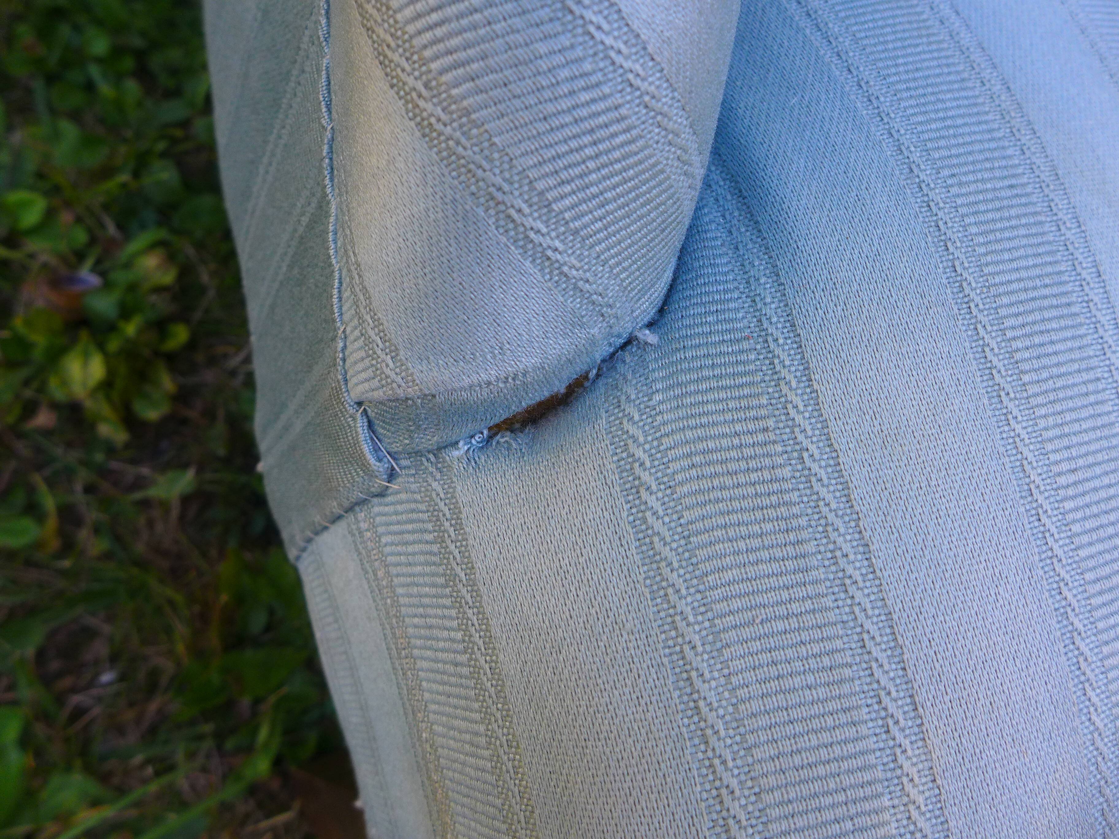 Blue toad chair