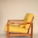 Paire de fauteuils scandinaves vintage en curry jaune rembourrage fauteuil coussin salon ambre