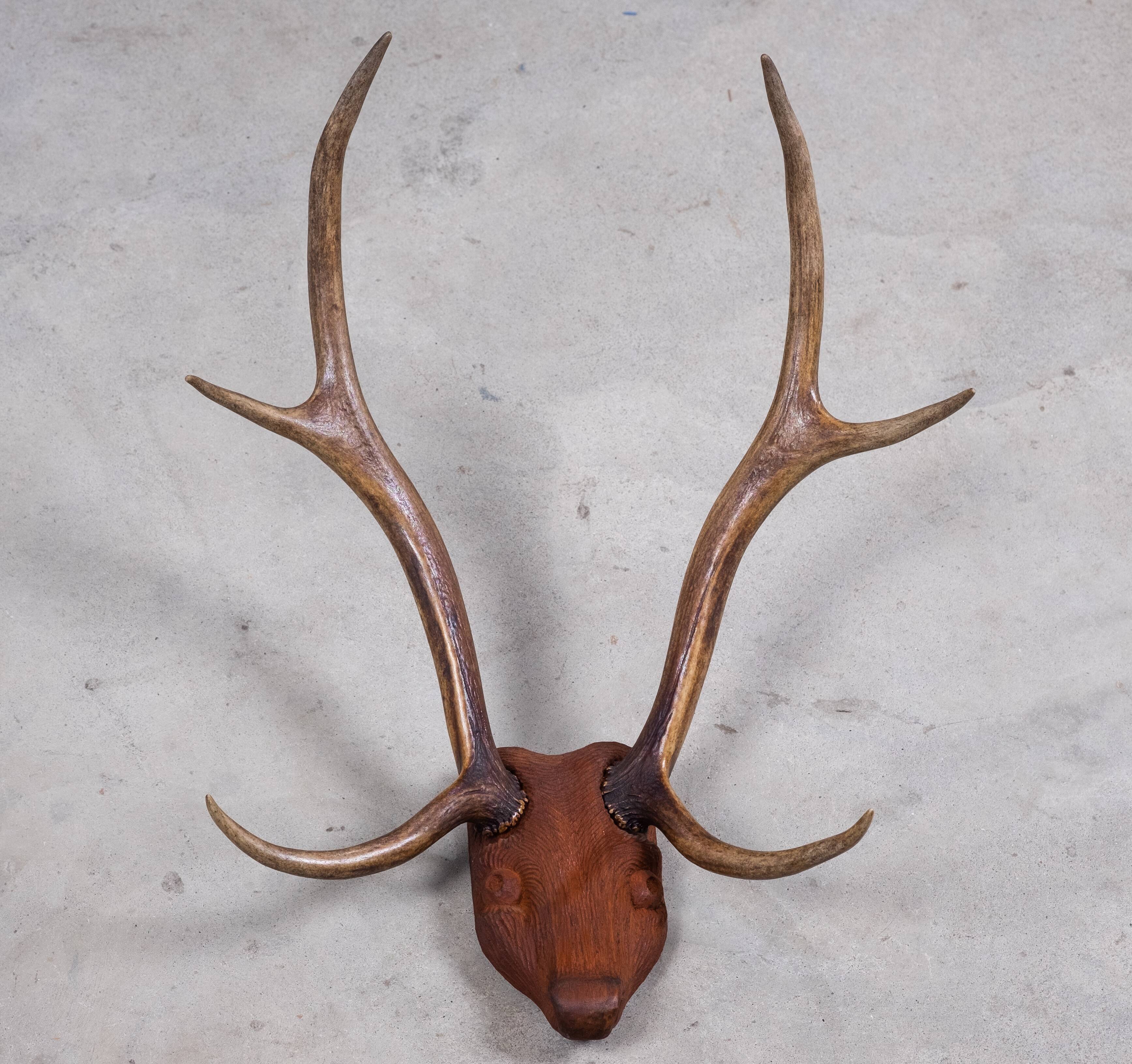 Antlers on carved wooden head, Danish design, 1960s