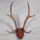 Antlers on carved wooden head, Danish design, 1960s
