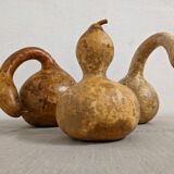 Set of 3 decorative dried coloquintes from the 70s