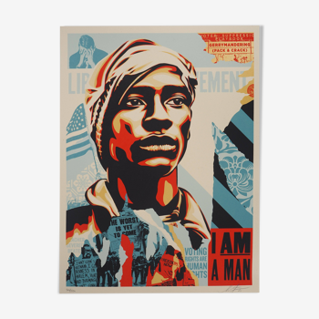 Shepard Fairey (Obey Giant) : Voting Rights Are Human Rights  - Lithographie signée