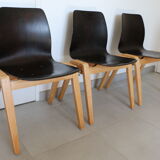 6 adult chairs pagholz wooden legs