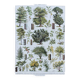 Old Millot illustration "Forest, forest trees"