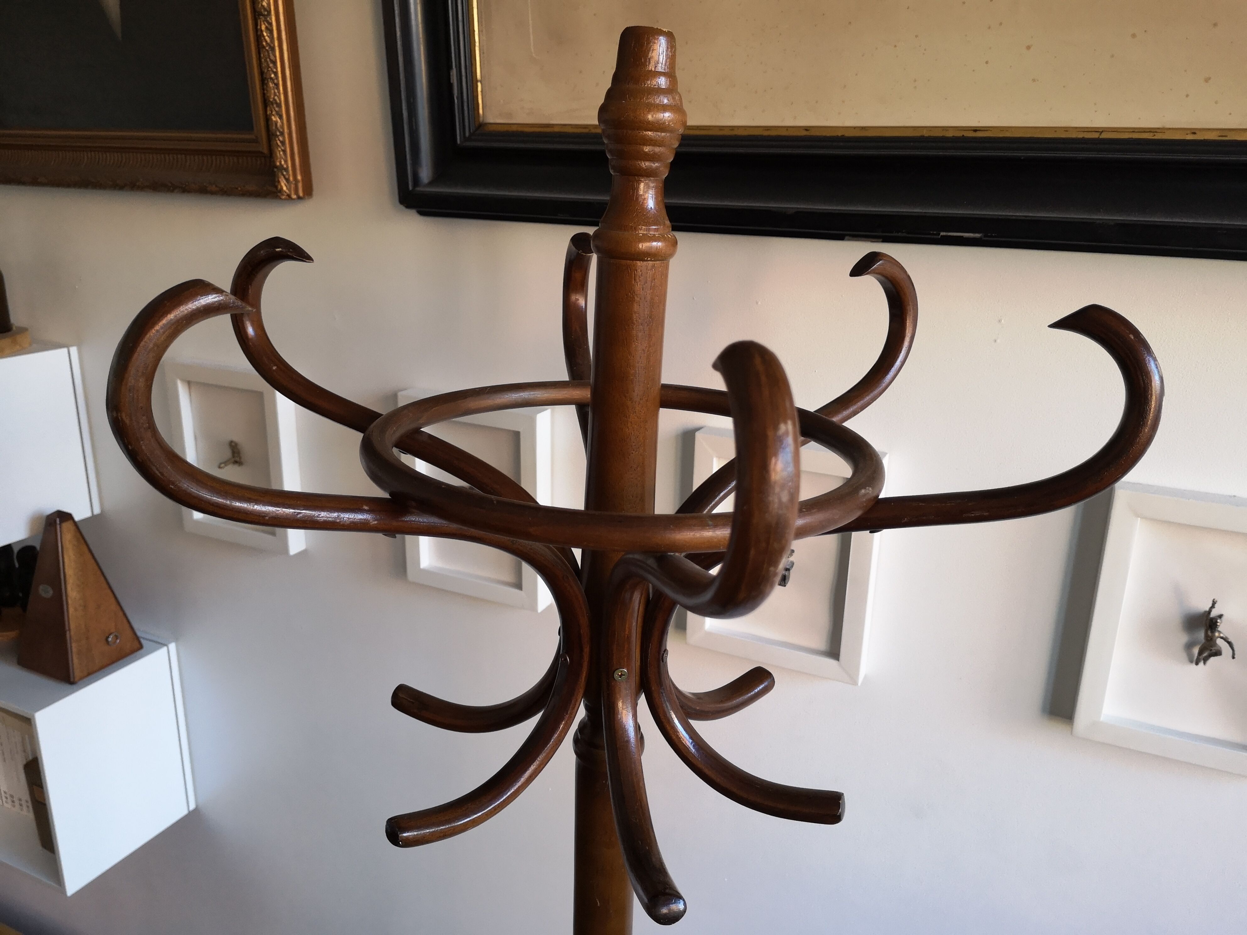 Dark wooden parrot coat holder 12 patères