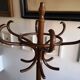 Dark wooden parrot coat holder 12 patères