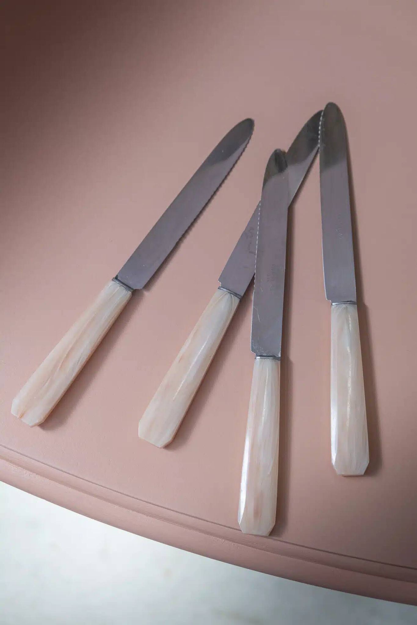 Set of 10 knives in "Églantine" box