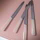 Set of 10 knives in "Églantine" box