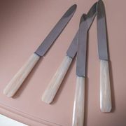 Set of 10 knives in "Églantine" box
