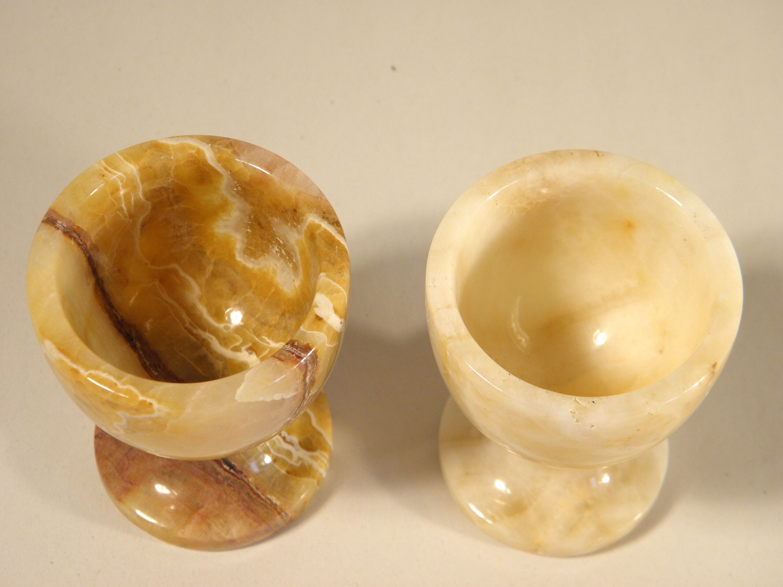 Two onyx cockroaches