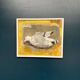 Original Swedish Oil on Canvas – “Seagull” by Ingeborg Stragnell – Signed