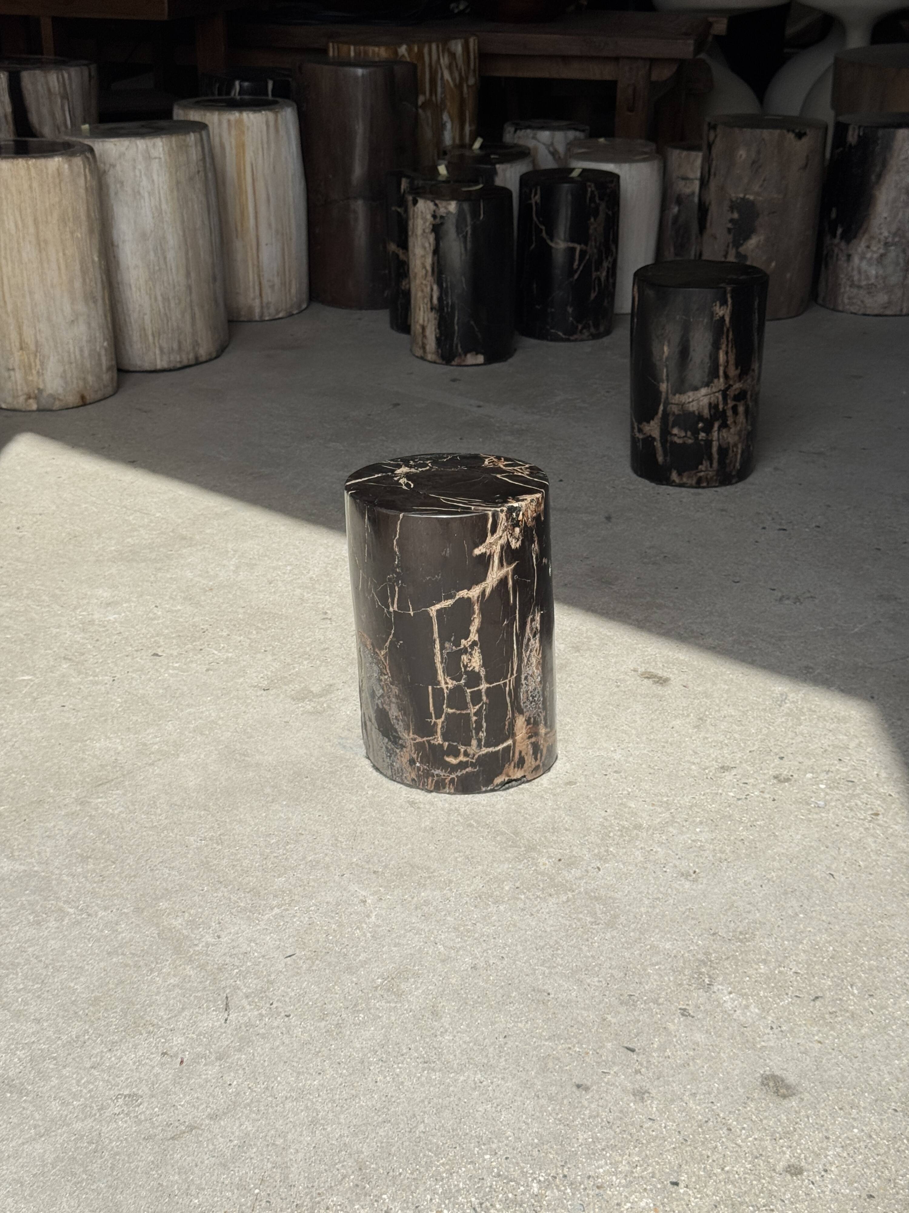 Small black petrified wood side table with beige stripes H28 D18 - 3347