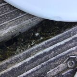 10 Assiettes dessert mouchetées gris noir