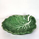 Cabbage leaf dish