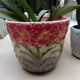 Slip pot cover Saint Amand