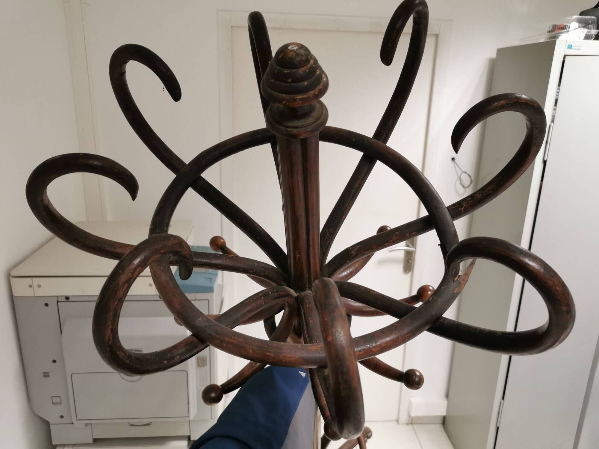 Parrot art nouveau coat racks bar bistro style