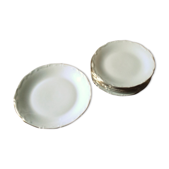 Lot 6 hollow plates and round white porcelain dish Sologne Lamotte