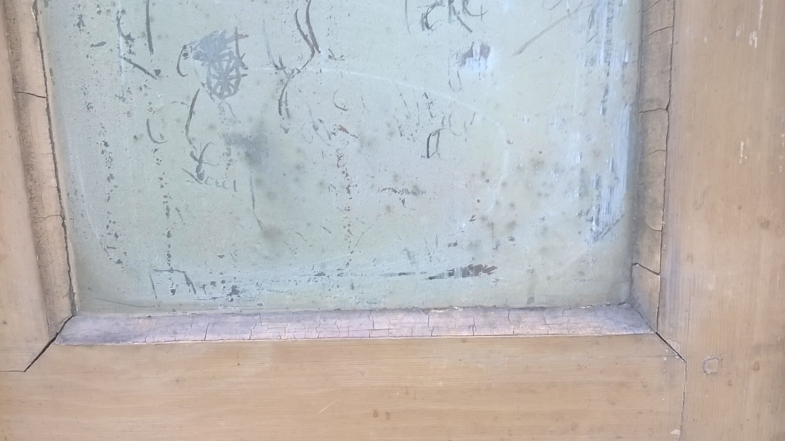 Old glass interior door mint