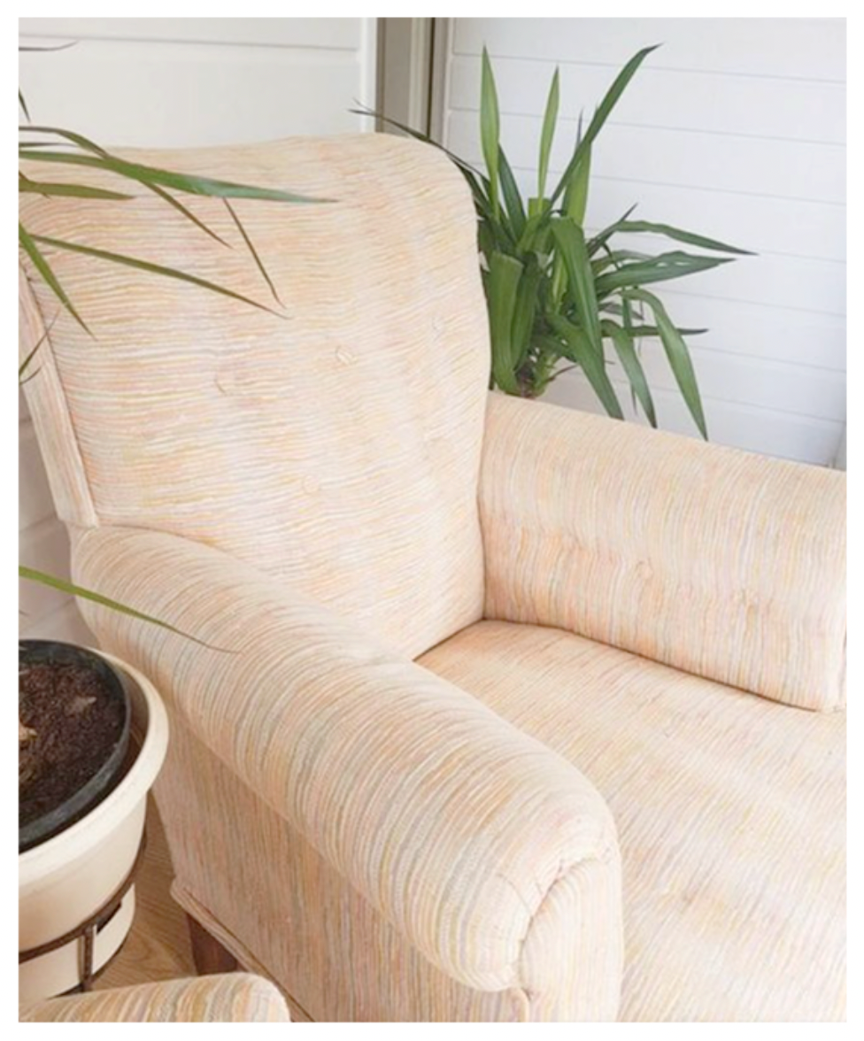 Lot 2 armchairs English / Vintage toad