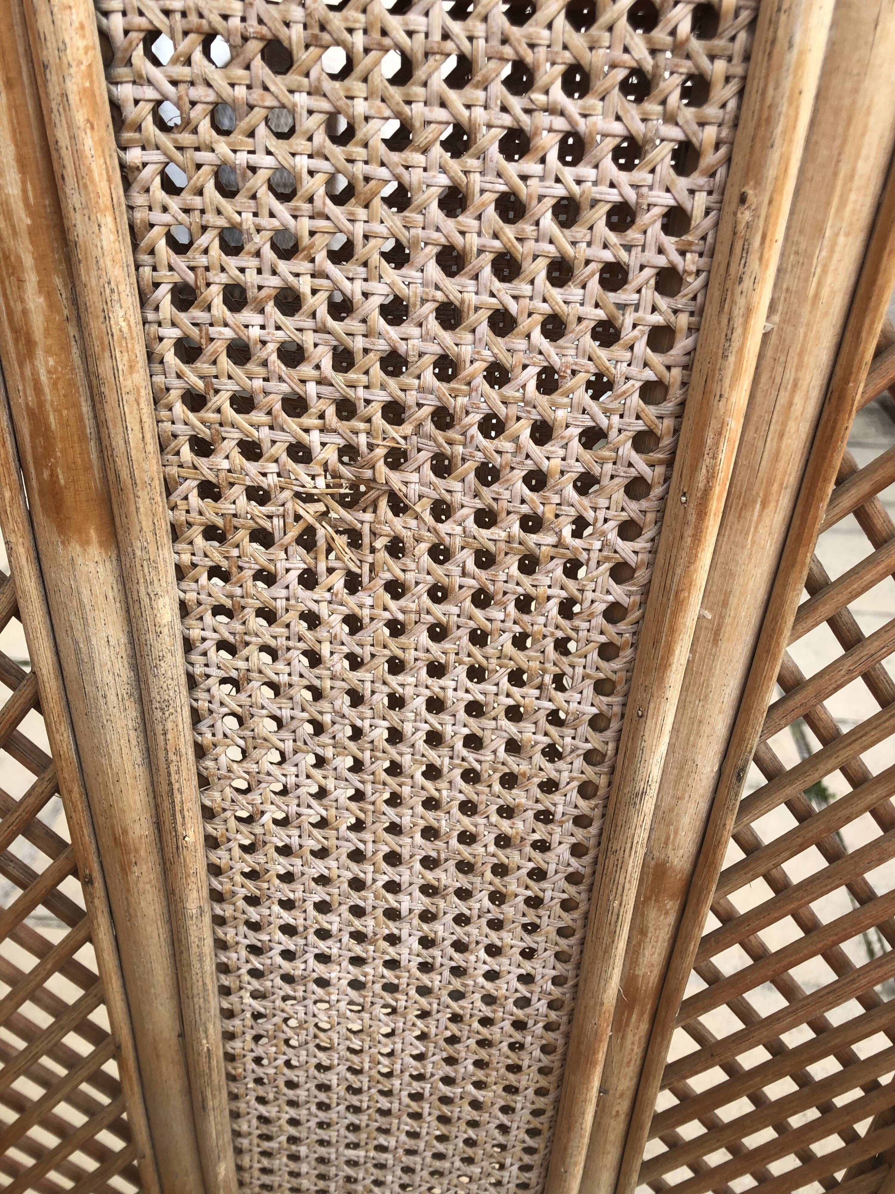 Rattan screen, bamboo and canning