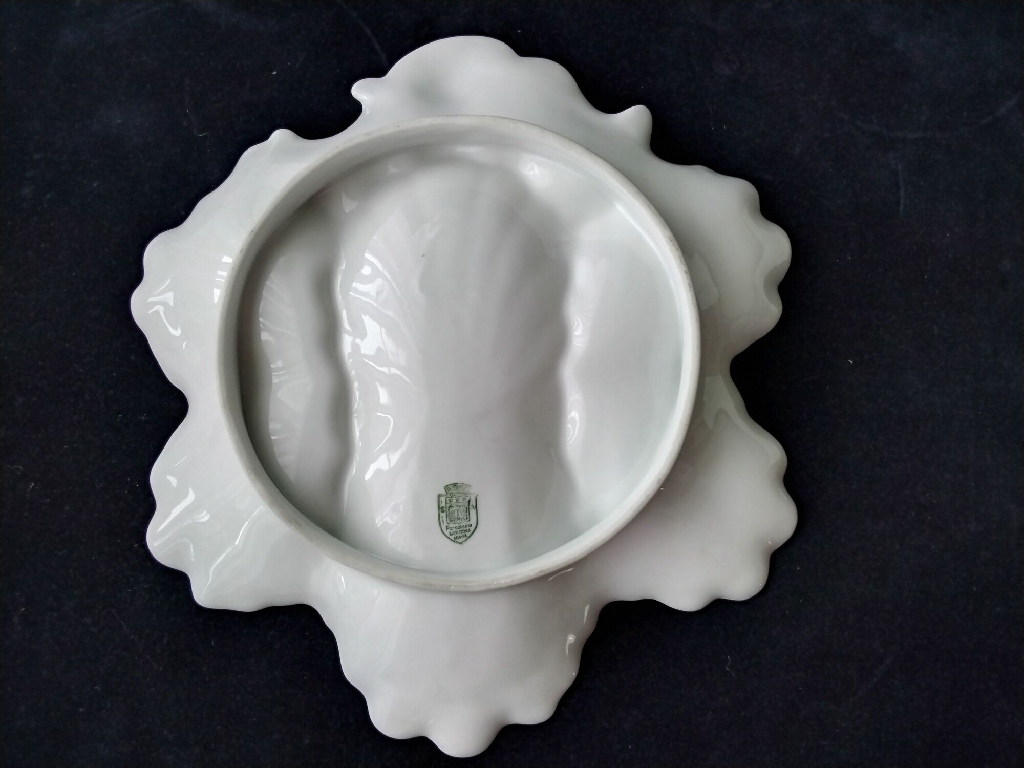 Compartmented bowl in Limoges porcelain. Aromatic plant decor