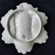 Compartmented bowl in Limoges porcelain. Aromatic plant decor
