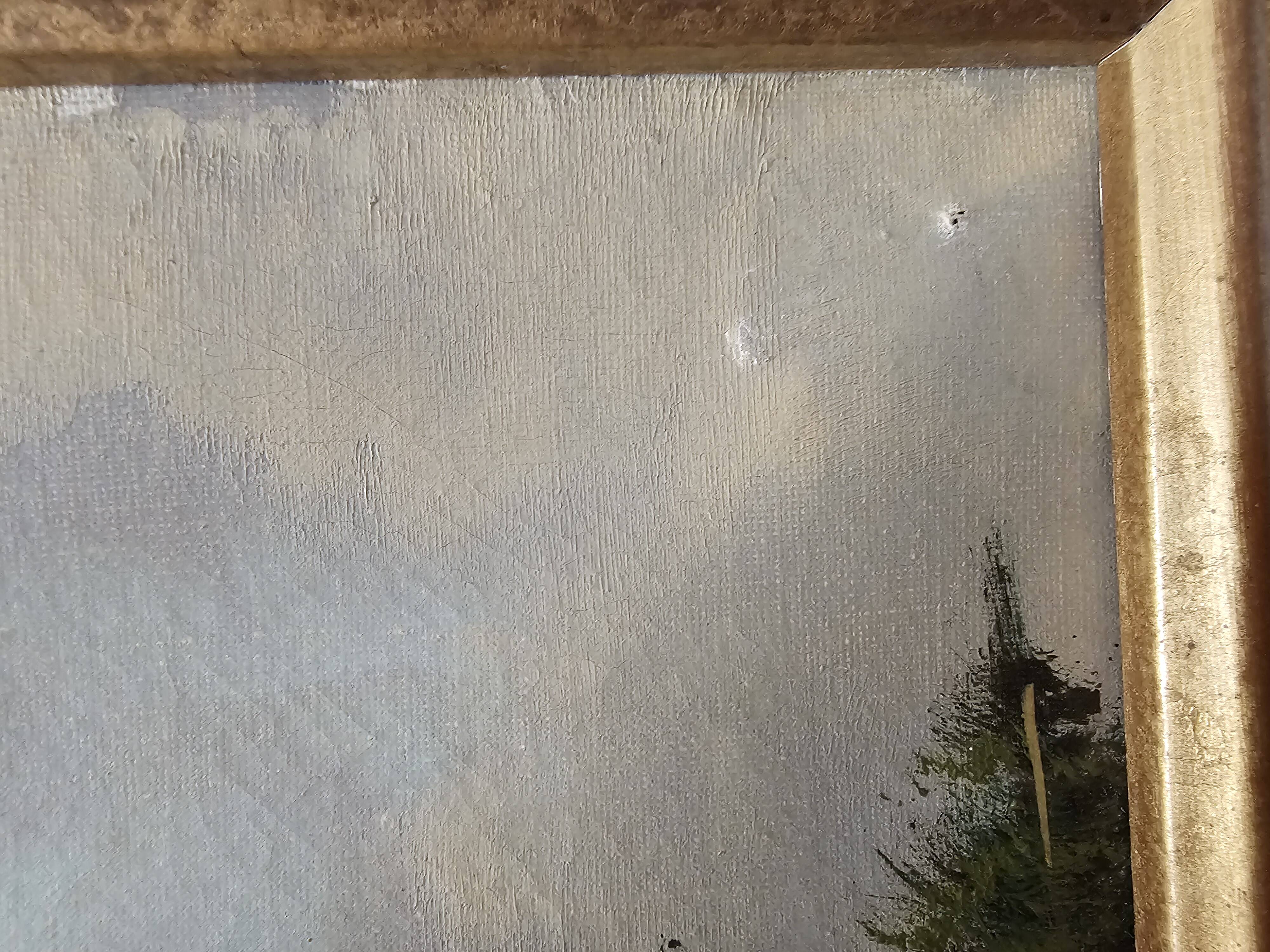 Oil Painting on Canvas Mountain Landscape Forest Vosges Signed S Capello
